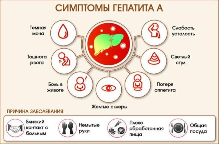 Информация по гигиеническому воспитанию и мерам профилактики гепатита А